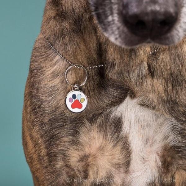 THE PUPTIVIST ENAMEL DOG TAG